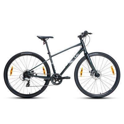 Xe Đạp Đường Phố Touring LIV Alight 4 Disc - Phanh Đĩa, Bánh 700C - 2025