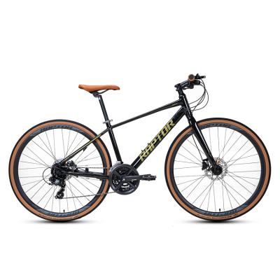 Xe Đạp Đường Phố Touring RAPTOR Sky - Phanh Đĩa, Bánh 700C